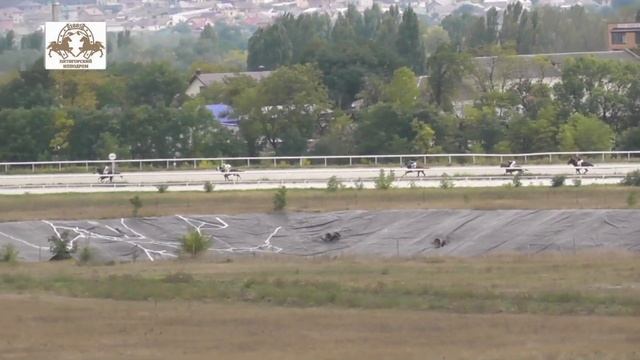 27.09.2020 - 6 Скачка на лошадях 4-х лет чистокровной верховой породы - Дансер Лайф смотреть онлайн