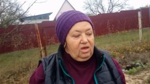 О клубнике в контейнерах от посадки в ноябре до цветения в мае