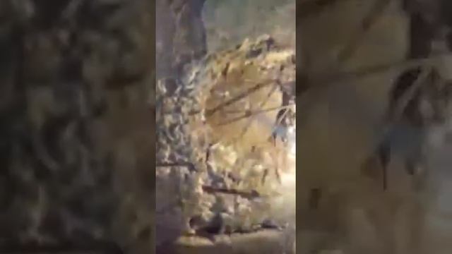 Мохсоголлох Якутия. Котельная, ремонт плит перекрытия, рёбра жёсткости - 2 смотреть онлайн