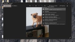 Как сделать фото черно-белым без программ в Windows 11/10