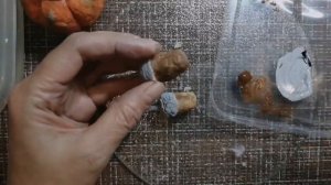 Жёлудь из ваты 2 часть