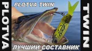 PLOTVA TWIN - пожалуй, лучший составник!