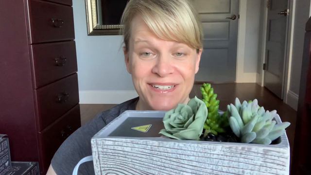 Scentsy May 2021 Scent & Warmer Palm Trees & Ocean Breeze & Suc-cute-lent смотреть онлайн