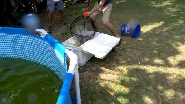 WE TURNED A SWIMMING POOL INTO A FISH AQUARIUM!! (pond reveal) смотреть онлайн