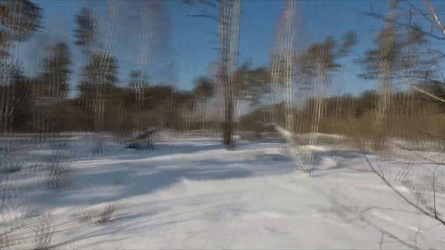 Зимние покатушки по бурелому на ВЕЗДЕХОДЕ РЫСЬ-Квадро! Едем там, где пешком не пройти! смотреть онлайн