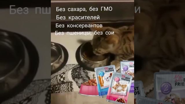 корм для кошек от FABERLIC смотреть онлайн