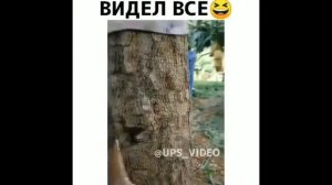 ЭТО РОССИЯ ДЕТКА #3 / СВЕЖИЕ ПРИКОЛЫ / СМОТРЕТЬ ВСЕМ)