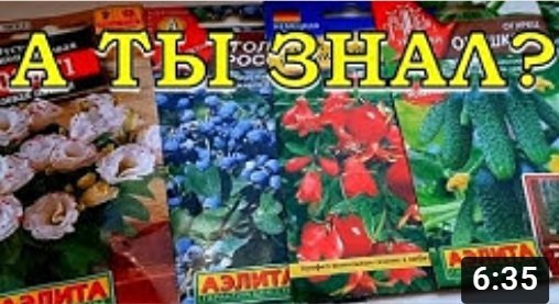 Что посеять в ДЕКАБРЕ? Открываем новый сезон!???