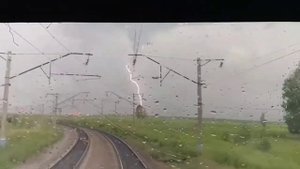 Молния попала в дерево