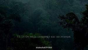 Саид Дубаха - Сура 71 «Нух»