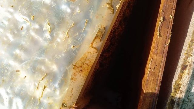 Крайние работы на пасеке перед зимовкой пчел смотреть онлайн