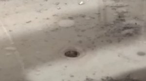 Сож на ТВ 4 продолжение.