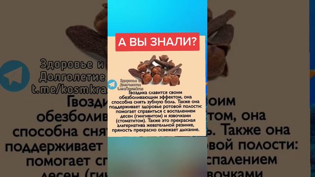 гвоздика незаменимый помощник для здоровья #народнаямедицина