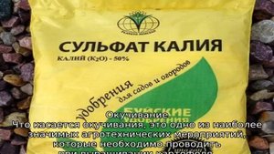 Картофель Лабелла