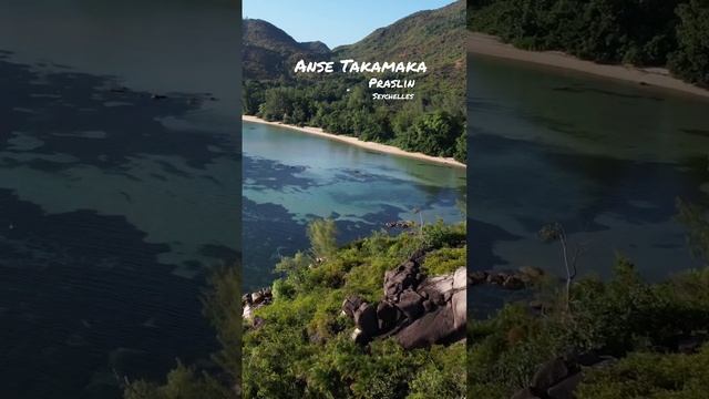 Anse Takamaka ?? | Praslin | Seychelles #shorts #praslin #seychelles