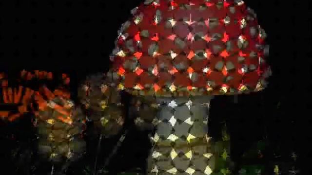 Amanita Muscaria
