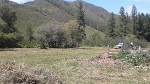 Уборка сена конными граблями