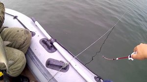Лещ с лодки на братском водохранилище.