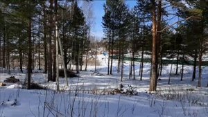 Парк - Отель Спасское! Больше чем природа! (Перезалив)