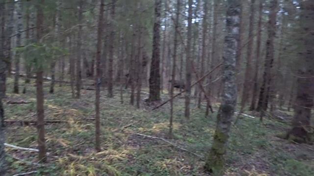 Сукин сын 01 смотреть онлайн