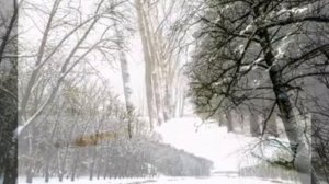 Аутотренинг (аутогенная тренировка) И.Шульца с активным выходом