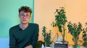 Как ухаживать за толстянкой! | Крассула | Денежное дерево | Жирянка | Бонсай