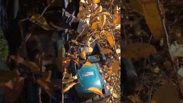 Садовый измельчитель MAKITA UD 2500 смотреть онлайн