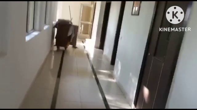 shiva oasis resort || tour || neemrana fort смотреть онлайн