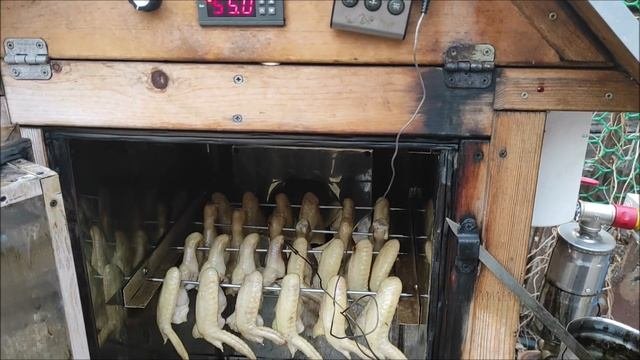 Крылышки горячего копчения.Коптильня для дома и дачи.
