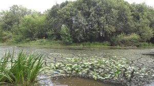 КЛИН И ЕГО ДОСТОПРИМЕЧАТЕЛЬНОСТИ. ГОРОД В КОТОРОМ ЖИЛ ЧАЙКОВСКИЙ И ГАЙДАР.