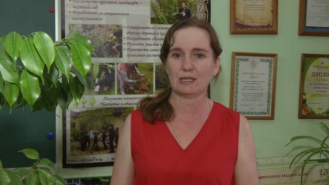 Фитодизайн интерьера: делаем фитокартину