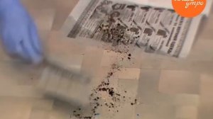 Как убрать разбитое стекло или мелкий сор