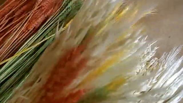 Делаем очень красивый сноп из разноцветных колосьев. смотреть онлайн