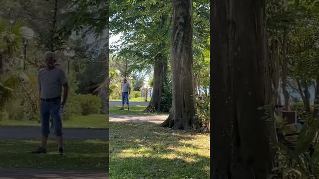 Парк им. Фрунзе в Сочи смотреть онлайн