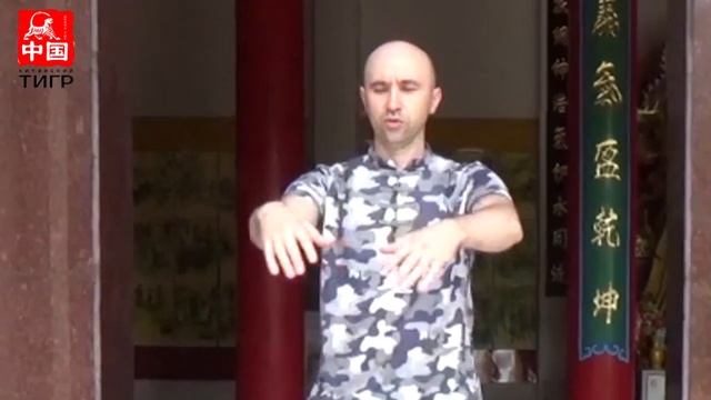 ЦИГУН - Чжан Чжуан, Стояние Столбом, Упражнение Дерево, Zhang Zhuan, 站柱