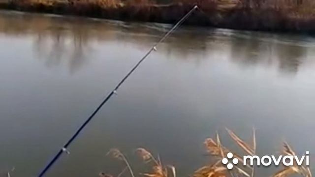 #рыбалка#ставропольскийкрай
Муж и зять на рыбалке 27 ноября 2019, часть1 смотреть онлайн