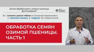 Обработка семян озимой пшеницы. Зачем делать? Часть 1 | Агроном | Сергий Ризанов