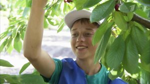 Как школьнику заработать во время летних каникул?