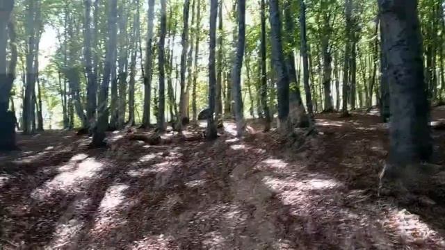 Одиночный поход по Крыму, октябрь 2020 смотреть онлайн