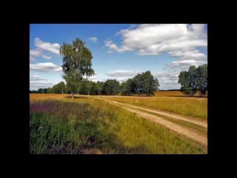 Владимир Ивашов -  Русское поле