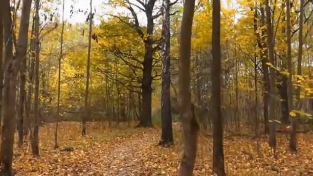 Бунева Валентина. Прекрасны осени картины