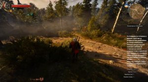 The Witcher 3 Enhanced Edition. # 2. Первый грифон.