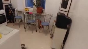 Сдается шикарная 2-х комнатная квартира в историческом жилом доме - высотке на Баррикадной.