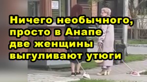 Ничего необычного, просто в Анапе две женщины выгуливают утюги