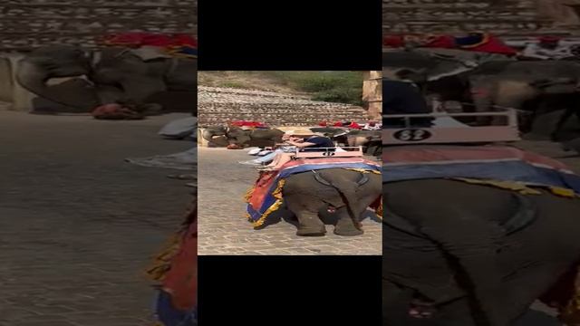 VID-20230301-WA0032.mp4