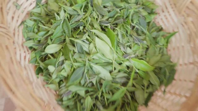 Семейная фабрика чая Адам-чай смотреть онлайн