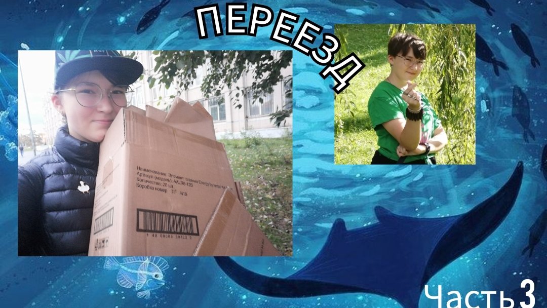 Переезд. часть 3.