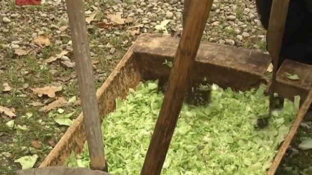 В Музее народного деревянного зодчества «Витославлицы» прошел осенний праздник «Капустки» смотреть онлайн