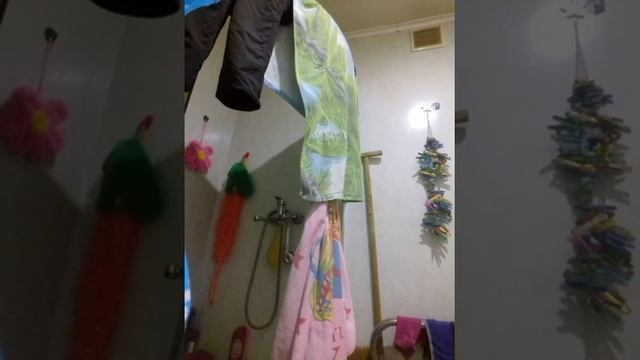 Выращивают арбизы смотреть онлайн