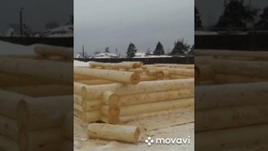 Почему зимний лес лучше , для сруба.